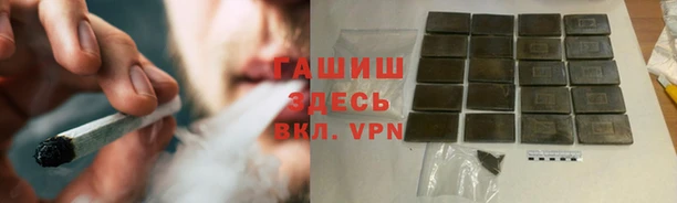 прущие грибы Белокуриха
