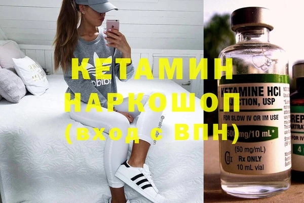 прущие грибы Белокуриха