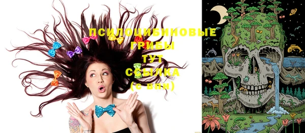 круглые Бородино